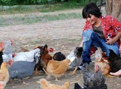 Pousada Fazenda Santa Fe เบเซร์โฮส ภายนอก รูปภาพ